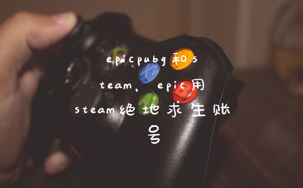 epicpubg和steam，epic用steam绝地求生账号