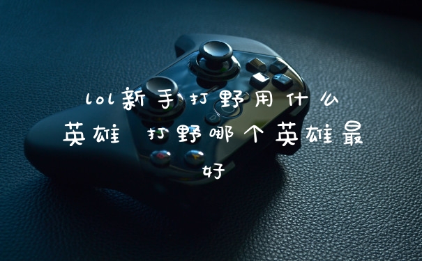 lol新手打野用什么英雄 打野哪个英雄最好
