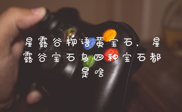 星露谷物语黄宝石，星露谷宝石鸟四种宝石都是啥