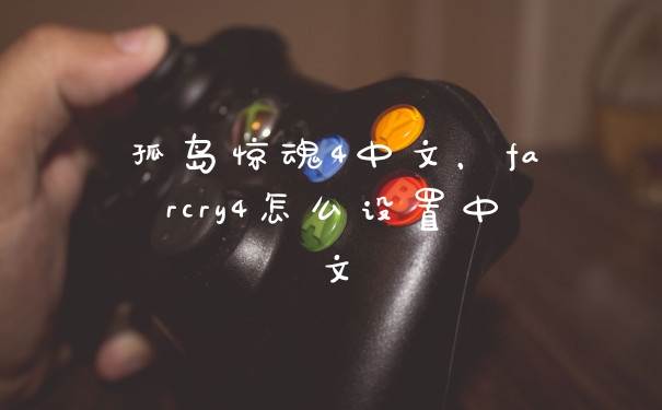 孤岛惊魂4中文，farcry4怎么设置中文