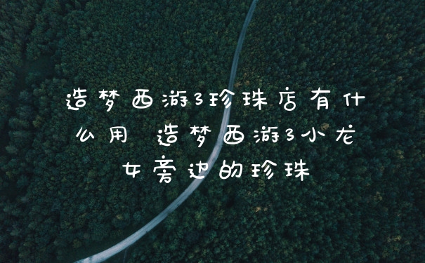 造梦西游3珍珠店有什么用 造梦西游3小龙女旁边的珍珠