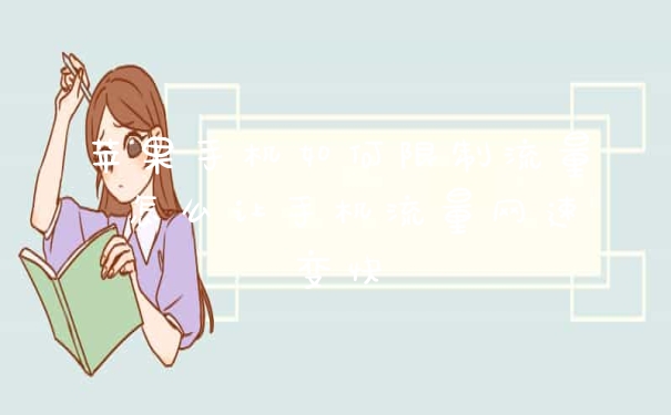 苹果手机如何限制流量 怎么让手机流量网速变快