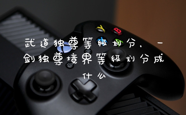 武道独尊等级划分，一剑独尊境界等级划分成什么