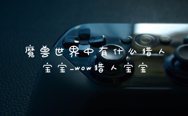 魔兽世界中有什么猎人宝宝_wow猎人宝宝