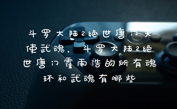 斗罗大陆2绝世唐门天使武魂，斗罗大陆2绝世唐门霍雨浩的所有魂环和武魂有哪些