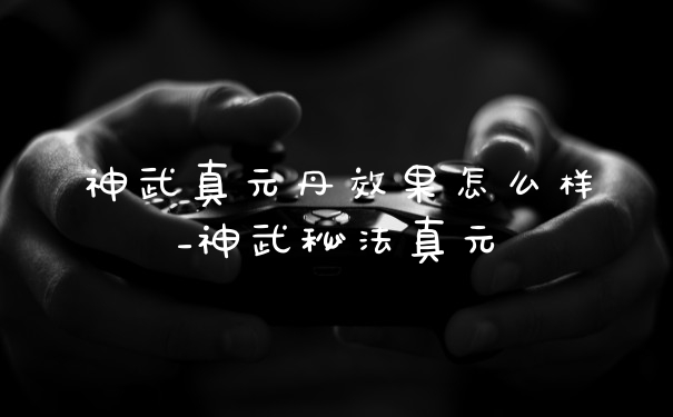 神武真元丹效果怎么样_神武秘法真元