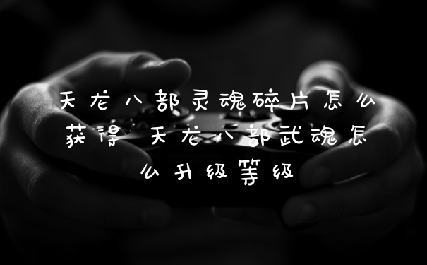 天龙八部灵魂碎片怎么获得 天龙八部武魂怎么升级等级