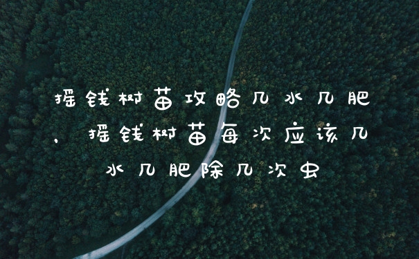 摇钱树苗攻略几水几肥，摇钱树苗每次应该几水几肥除几次虫