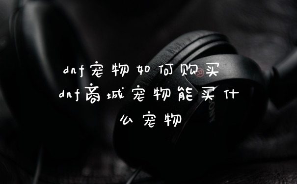 dnf宠物如何购买 dnf商城宠物能买什么宠物