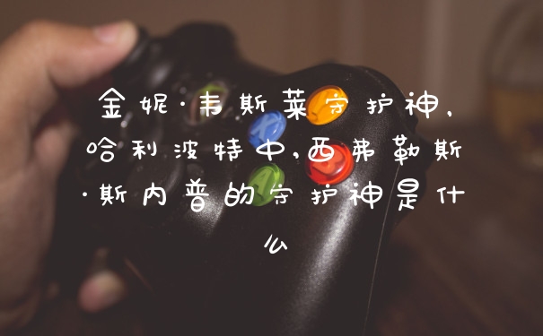 金妮·韦斯莱守护神，哈利波特中,西弗勒斯·斯内普的守护神是什么