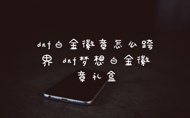 dnf白金徽章怎么跨界 dnf梦想白金徽章礼盒