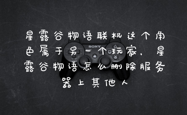 星露谷物语联机这个角色属于另一个玩家，星露谷物语怎么删除服务器上其他人