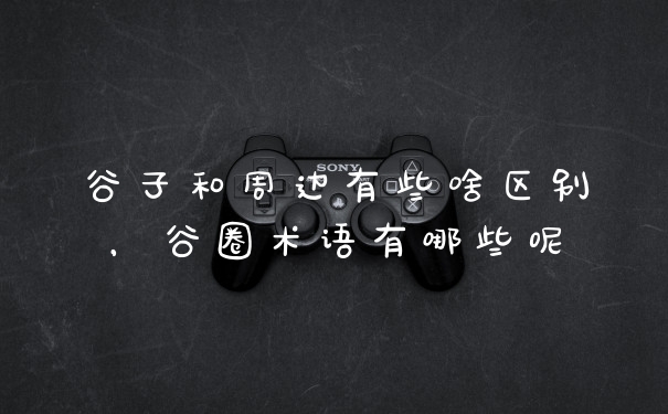 谷子和周边有些啥区别，谷圈术语有哪些呢