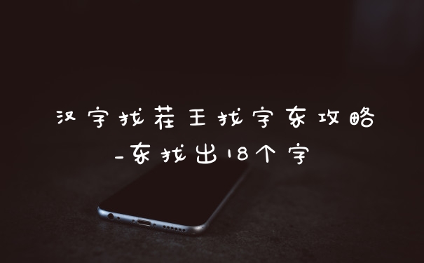 汉字找茬王找字东攻略_东找出18个字