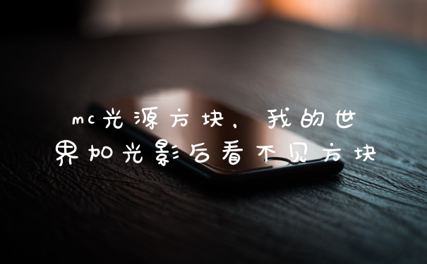 mc光源方块，我的世界加光影后看不见方块