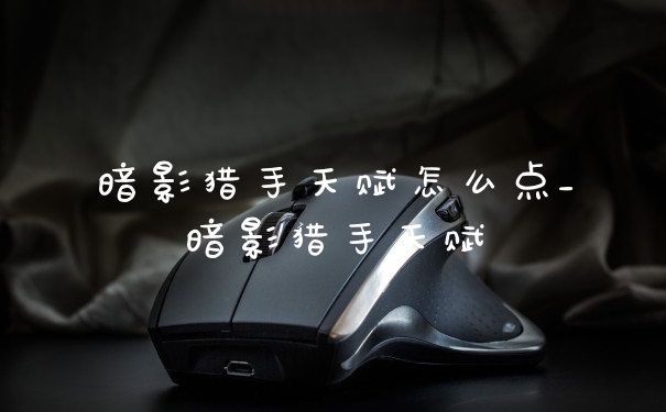 暗影猎手天赋怎么点_暗影猎手天赋