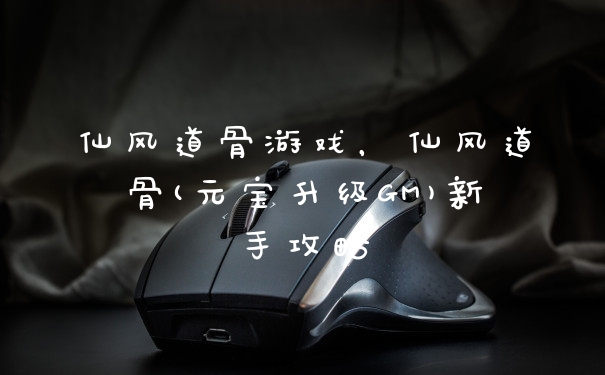 仙风道骨游戏,仙风道骨(元宝升级GM)新手攻略