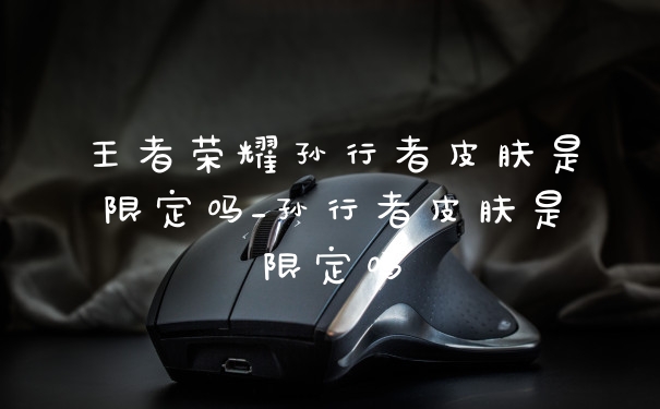 王者荣耀孙行者皮肤是限定吗_孙行者皮肤是限定吗