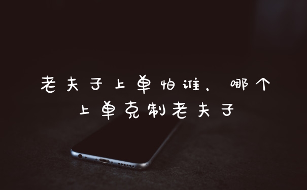 老夫子上单怕谁，哪个上单克制老夫子