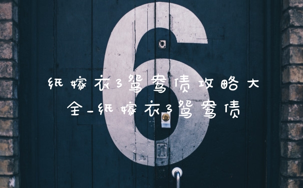 纸嫁衣3鸳鸯债攻略大全_纸嫁衣3鸳鸯债
