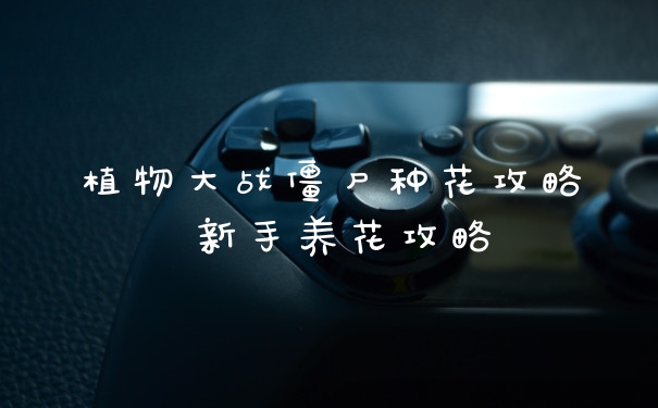 植物大战僵尸种花攻略 新手养花攻略