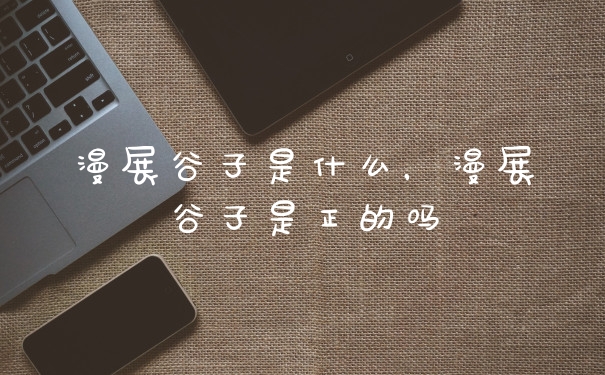 漫展谷子是什么,漫展谷子是正的吗