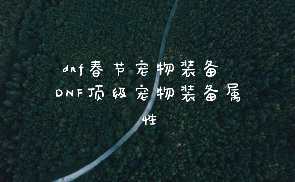 dnf春节宠物装备 DNF顶级宠物装备属性