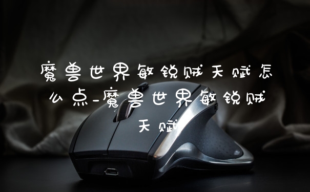 魔兽世界敏锐贼天赋怎么点_魔兽世界敏锐贼天赋