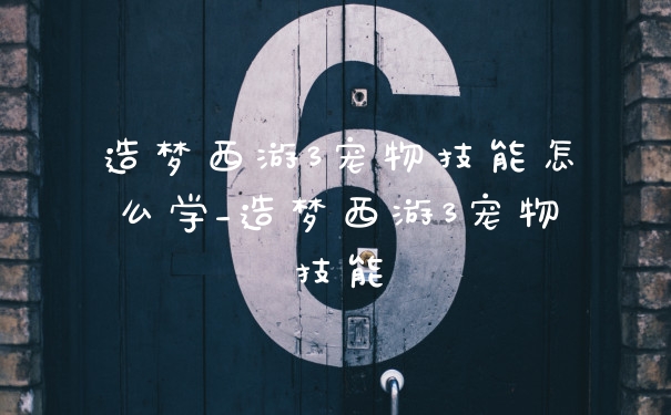 造梦西游3宠物技能怎么学_造梦西游3宠物技能
