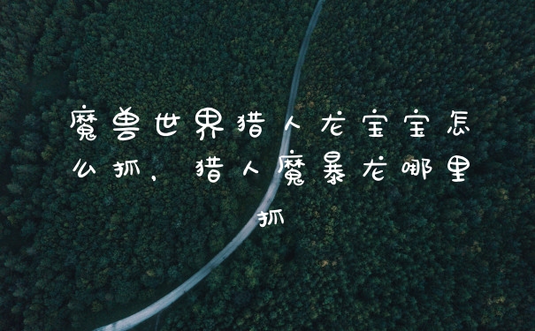 魔兽世界猎人龙宝宝怎么抓，猎人魔暴龙哪里抓