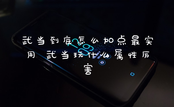 武当到底怎么加点最实用 武当玩什么属性厉害