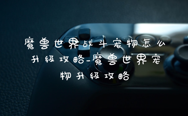 魔兽世界战斗宠物怎么升级攻略_魔兽世界宠物升级攻略