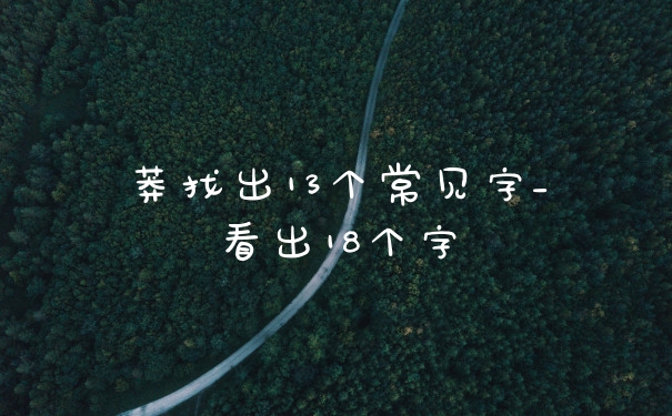 莽找出13个常见字_看出18个字