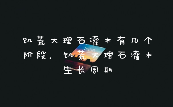 饥荒大理石灌木有几个阶段，饥荒大理石灌木生长周期