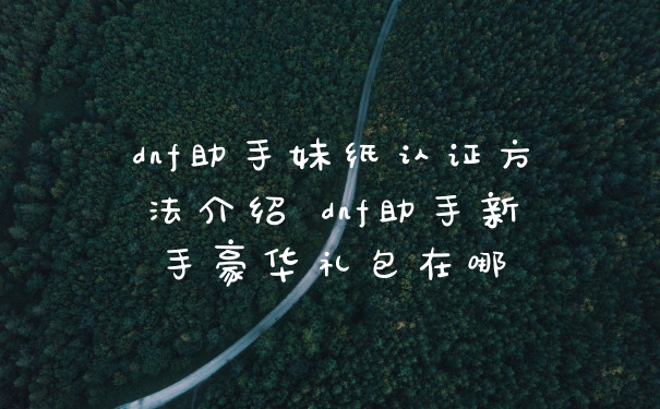 dnf助手妹纸认证方法介绍 dnf助手新手豪华礼包在哪