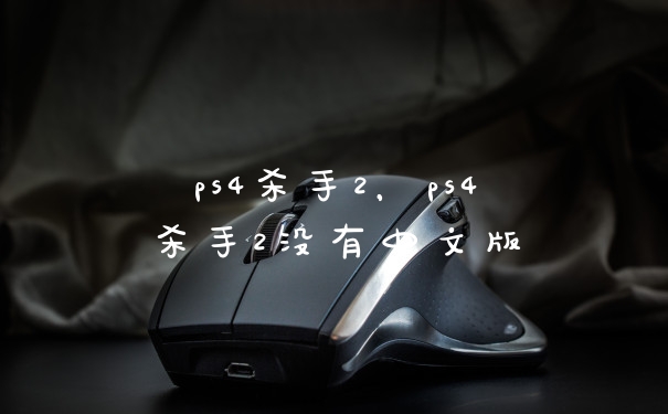 ps4杀手2,ps4杀手2没有中文版