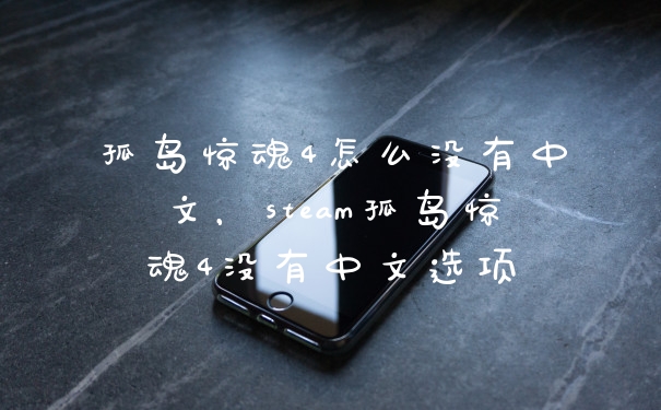 孤岛惊魂4怎么没有中文,steam孤岛惊魂4没有中文选项