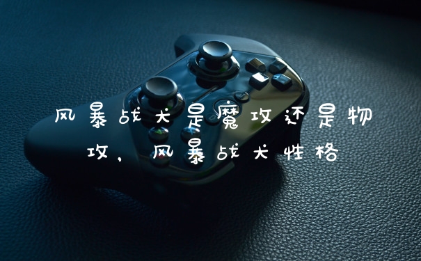 风暴战犬是魔攻还是物攻，风暴战犬性格