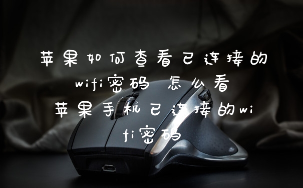 苹果如何查看已连接的wifi密码 怎么看苹果手机已连接的wifi密码