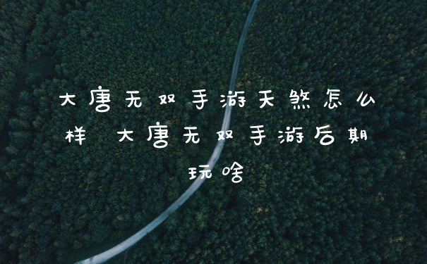 大唐无双手游天煞怎么样 大唐无双手游后期玩啥