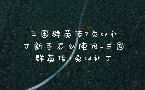 三国群英传7免cd补丁新手怎么使用_三国群英传7免cd补丁