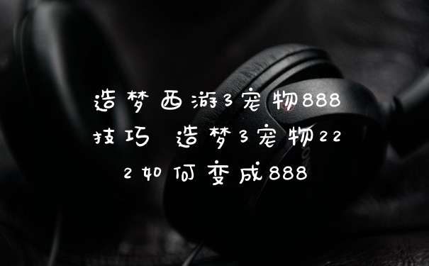 造梦西游3宠物888技巧 造梦3宠物222如何变成888