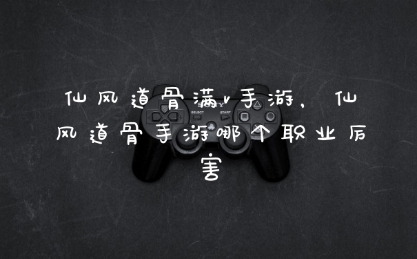 仙风道骨满v手游,仙风道骨手游哪个职业厉害