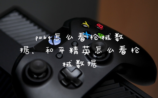 pubg怎么看枪械数据，和平精英怎么看枪械数据