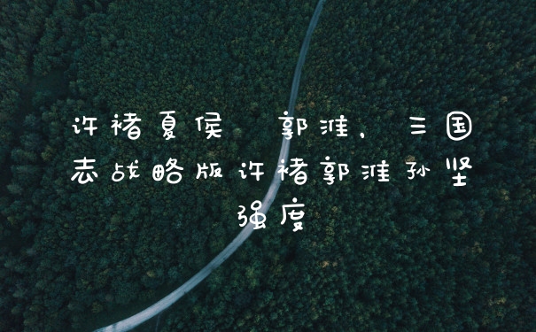 许褚夏侯惇郭淮，三国志战略版许褚郭淮孙坚强度