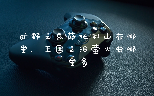 旷野之息萨托利山在哪里，王国之泪萤火虫哪里多