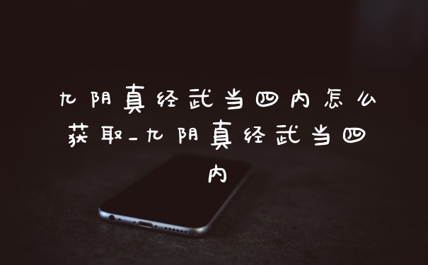 九阴真经武当四内怎么获取_九阴真经武当四内