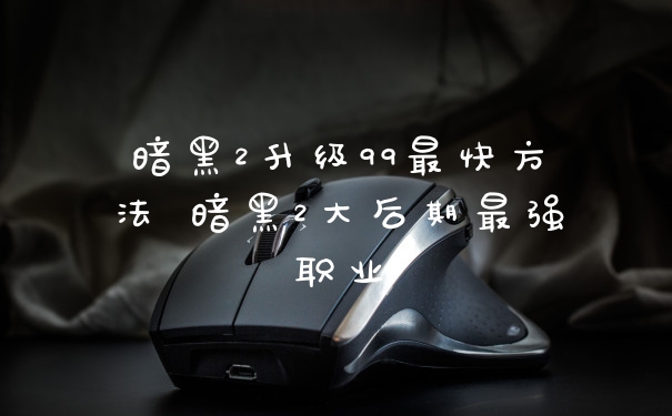 暗黑2升级99最快方法 暗黑2大后期最强职业