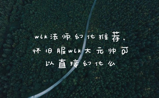wlk法师幻化推荐，怀旧服wlk大元帅可以直接幻化么
