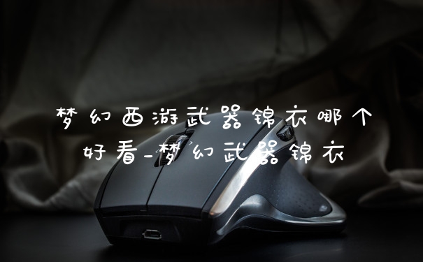 梦幻西游武器锦衣哪个好看_梦幻武器锦衣